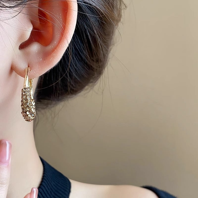 Minority Fashion Delicate Earrings Personality Ornament